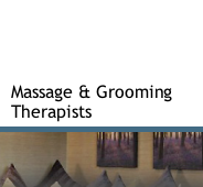 Consultations and Practitioners